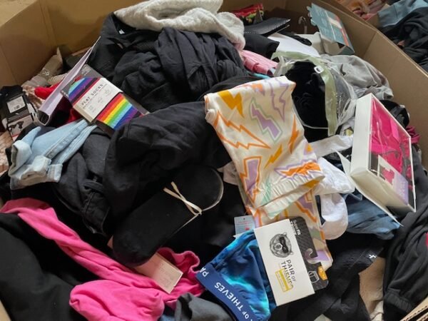 apparel liquidation pallets california