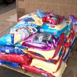 Wholesale Cat Food pallets for sale